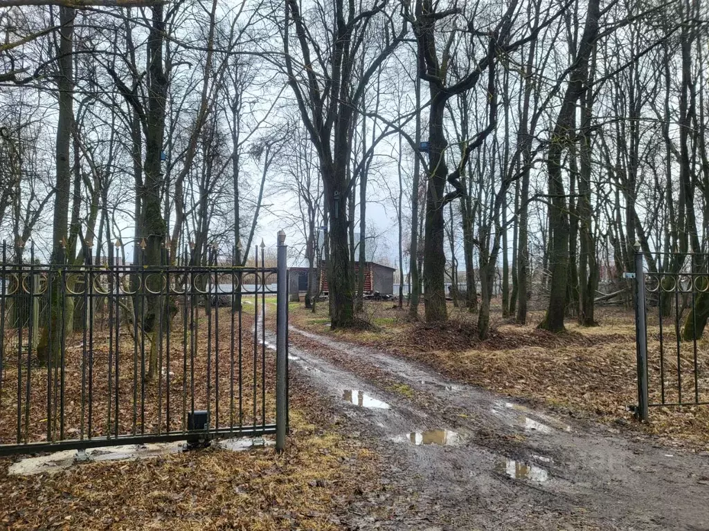 Участок в Московская область, Коломна городской округ, с. Акатьево  ... - Фото 1