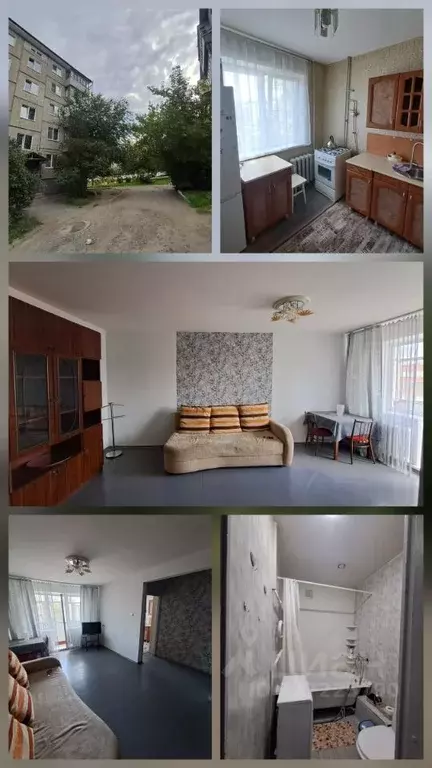 1-к кв. Курганская область, Курган ул. Савельева, 35 (33.0 м) - Фото 1