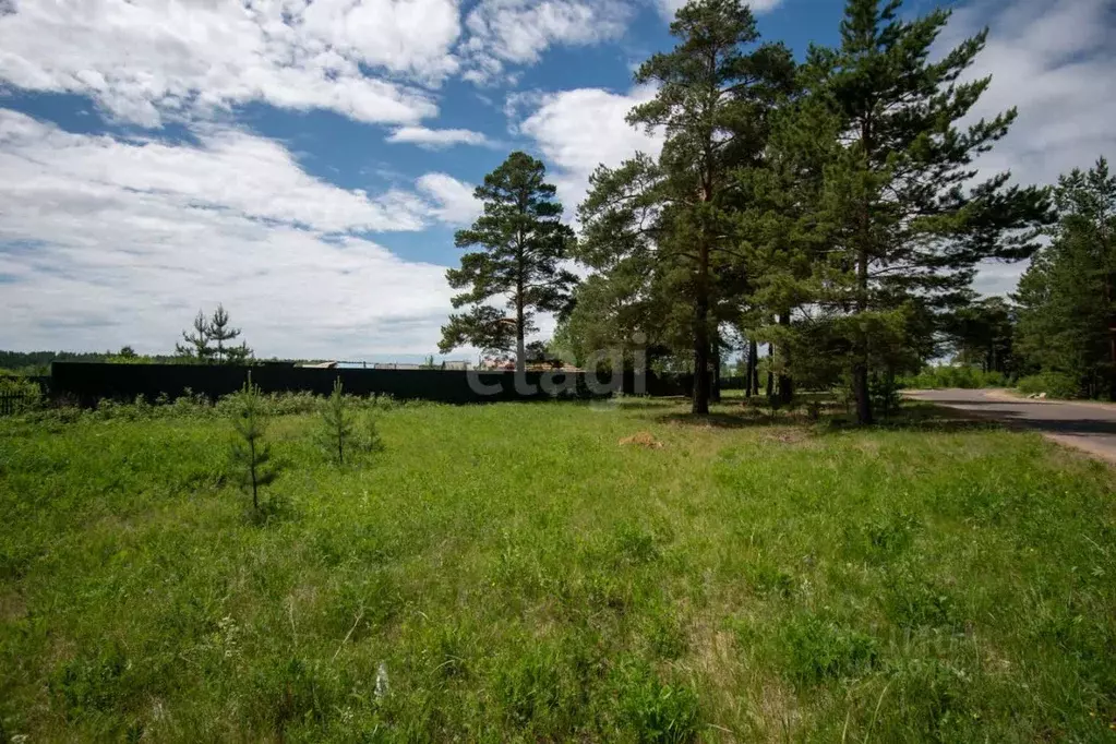 Участок в Забайкальский край, Читинский район, Карповское СНТ  (11.9 ... - Фото 1