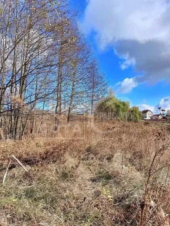 Участок в Воронежская область, Новоусманский район, с. Бабяково ... - Фото 0