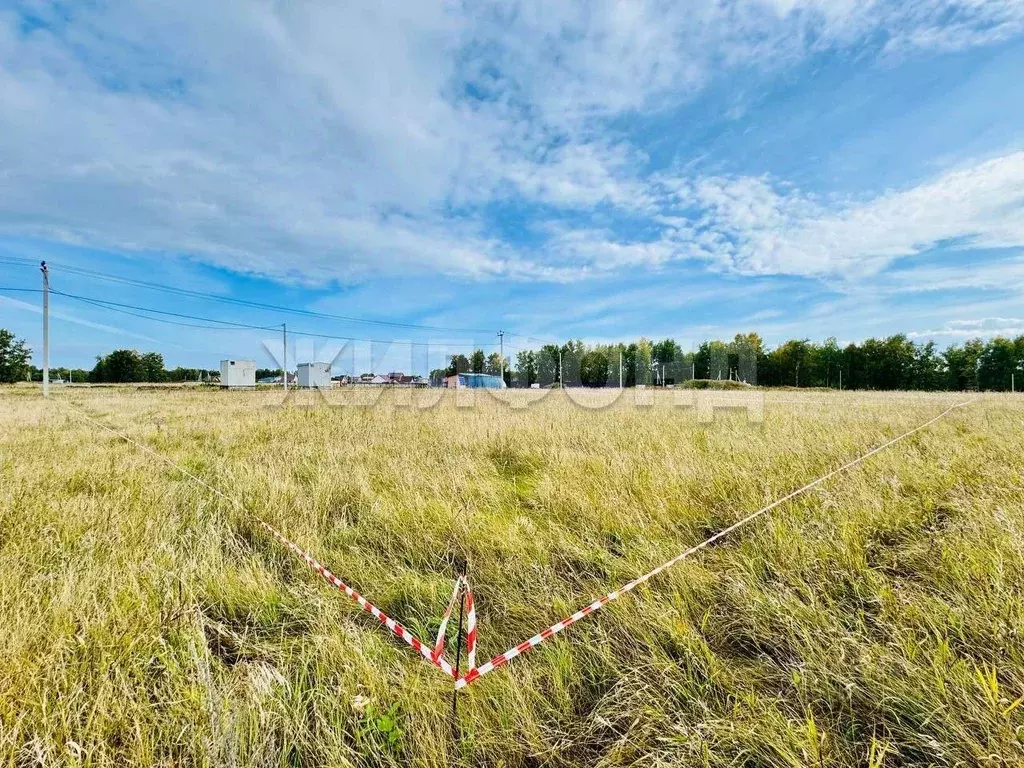 Участок в Новосибирская область, Новосибирский район, Морской ... - Фото 0