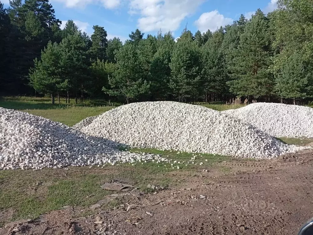 Участок в Нижегородская область, Балахнинский муниципальный округ, ... - Фото 2