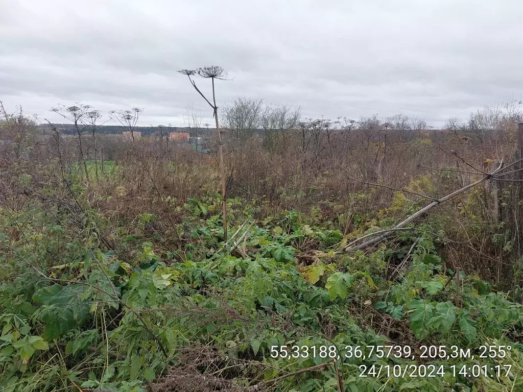 Участок в Московская область, Наро-Фоминский городской округ, с. ... - Фото 0