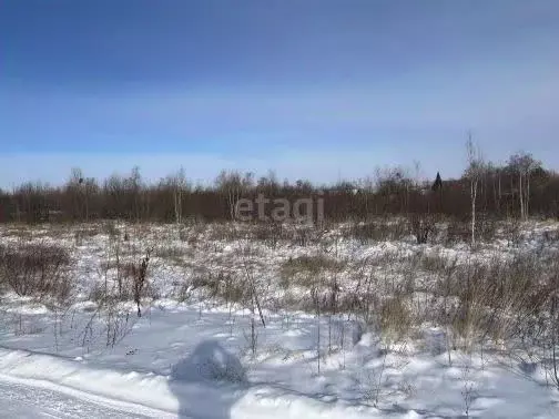 Дом в Амурская область, Благовещенск Артиллерийская ул., 26 (64 м) - Фото 0
