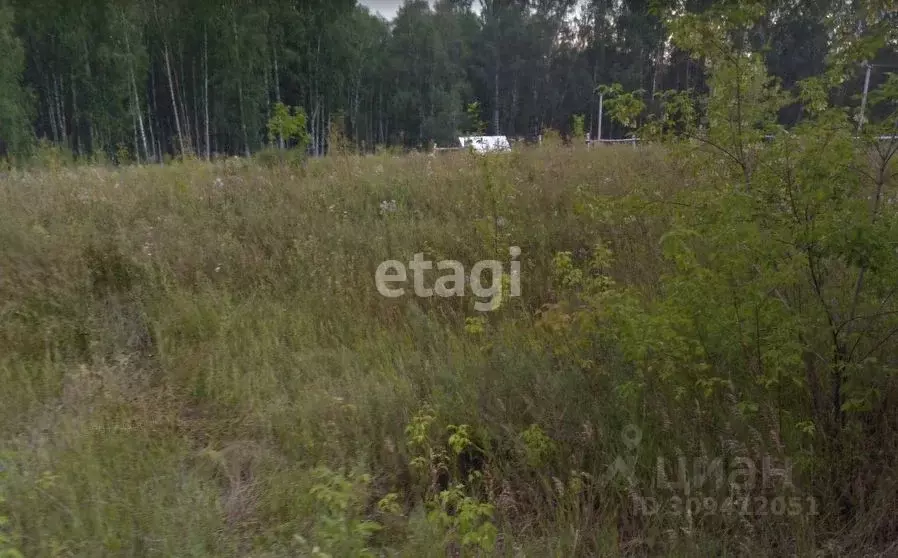 Участок в Новосибирская область, Новосибирский район, с. Раздольное ... - Фото 1