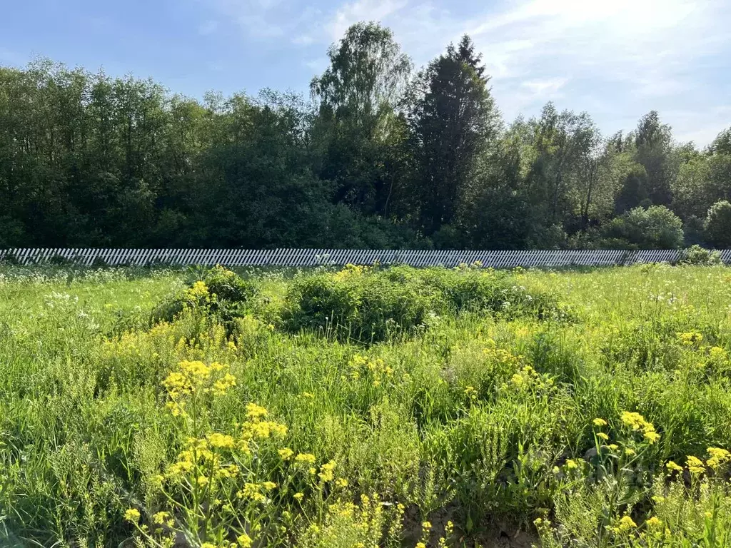Участок в Московская область, Волоколамский муниципальный округ, Эко ... - Фото 2
