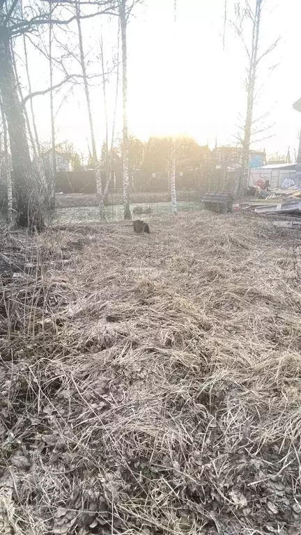 Участок в Московская область, Солнечногорск городской округ, д. ... - Фото 0