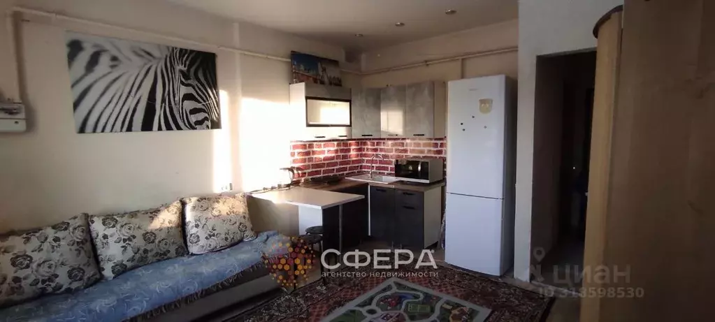 Студия Новосибирская область, с. Новолуговое, Солнечный мкр 1 (23.0 м) - Фото 0