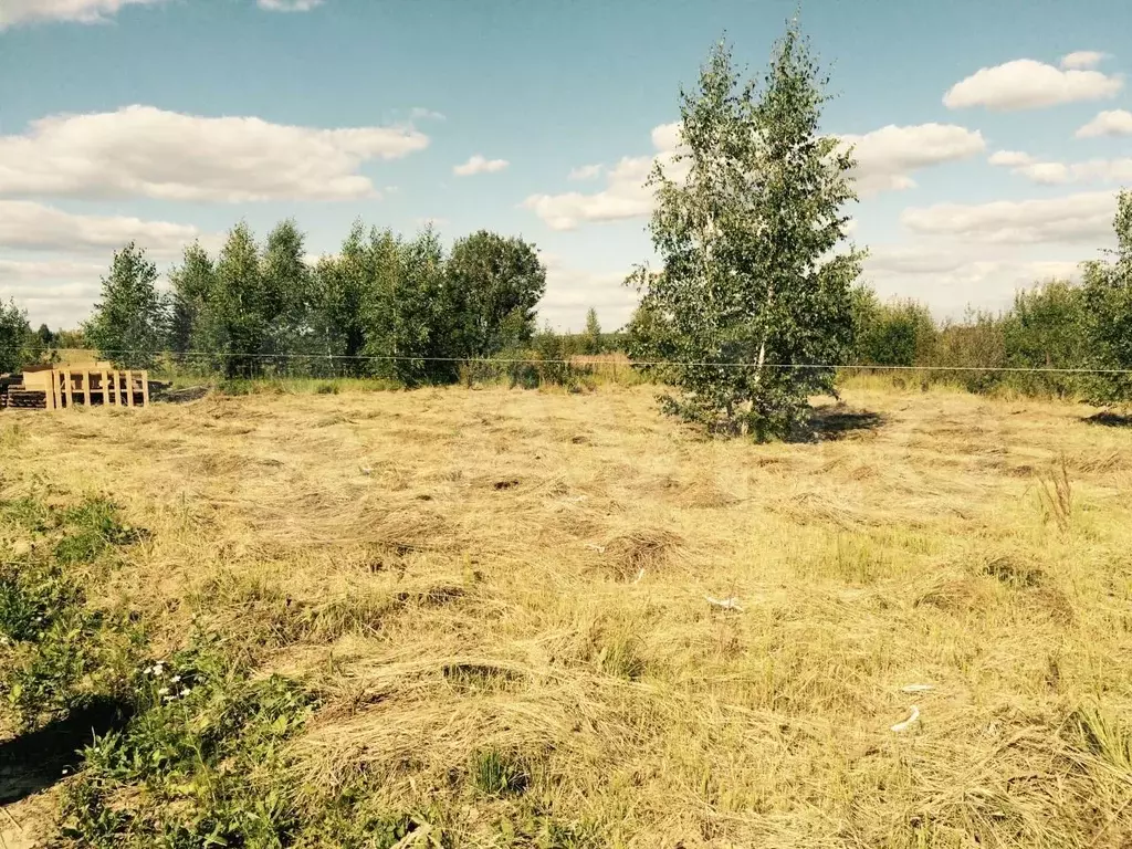 Участок в Калужская область, Боровский муниципальный округ, Опушка СНТ ... - Фото 2