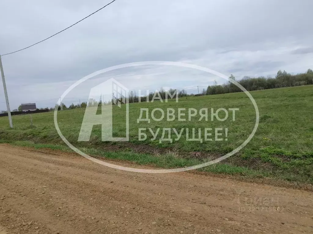 Участок в Пермский край, Чернушинский муниципальный округ, с. Сульмаш ... - Фото 2