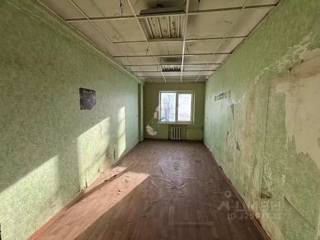 Комната Саратовская область, Саратов ул. Имени Н.Г. Чернышевского, 193 ... - Фото 2