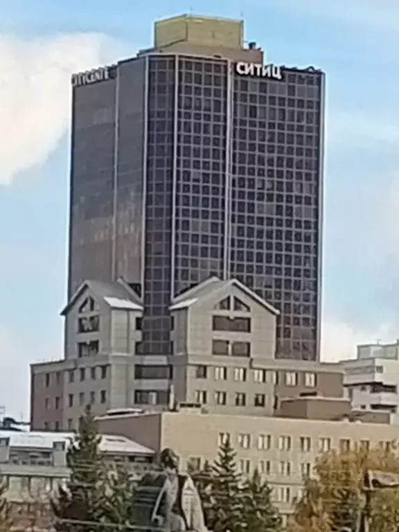 Офис в Новосибирская область, Новосибирск Депутатская ул., 46 (76 м) - Фото 2