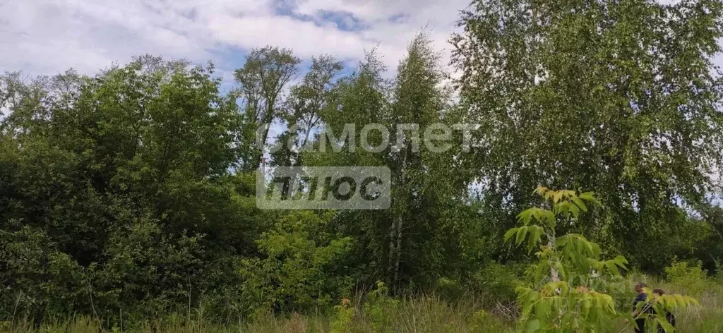 Участок в Челябинская область, Челябинск пос. Новосинеглазово, ... - Фото 0