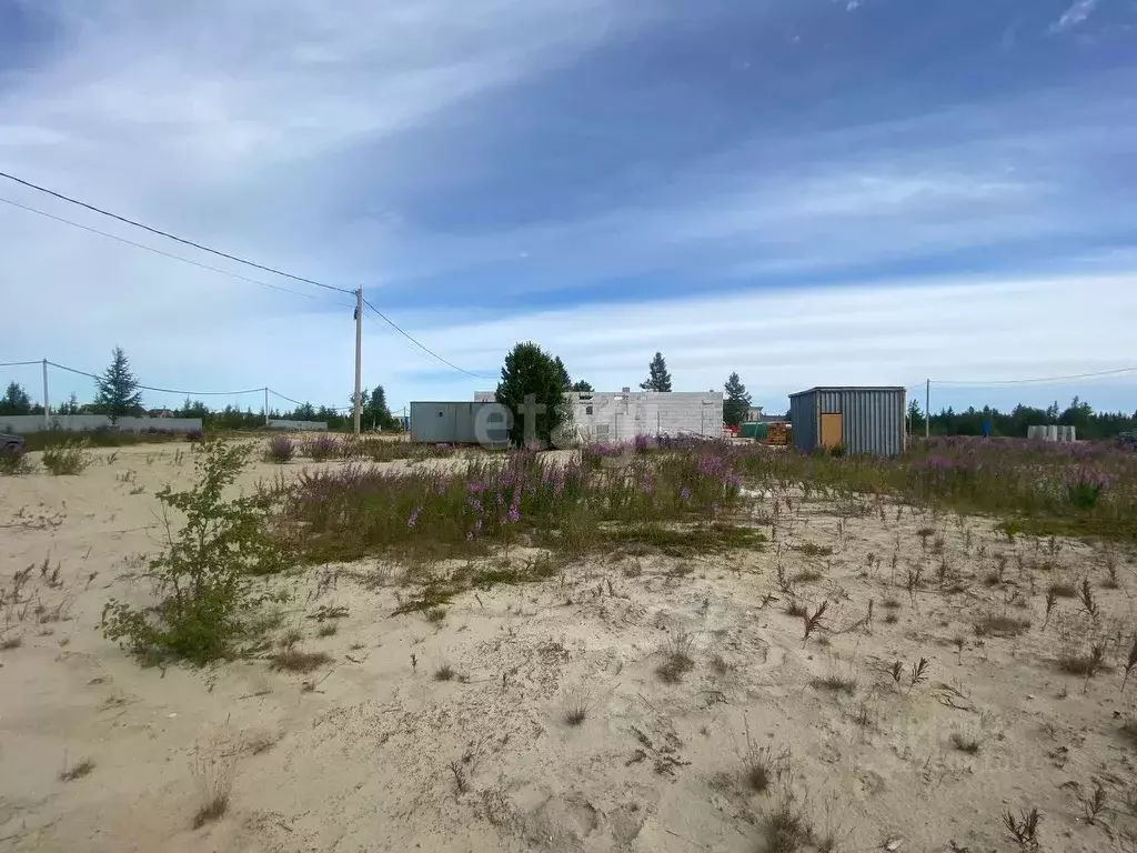 Участок в Ямало-Ненецкий АО, Новый Уренгой ул. Айвазовского, 8 (6.0 ... - Фото 1