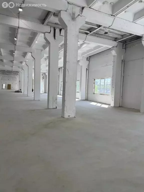 Помещение свободного назначения (3000 м) - Фото 1