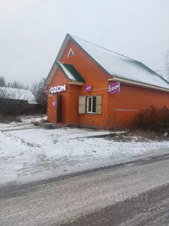 Торговая площадь в Московская область, Воскресенск городской округ, д. ... - Фото 2
