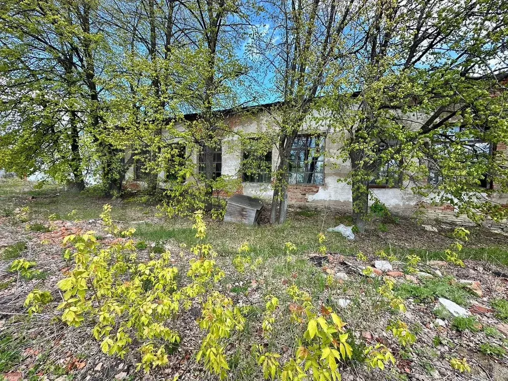 Продается отдельно стоящее здание 450 м - Фото 0
