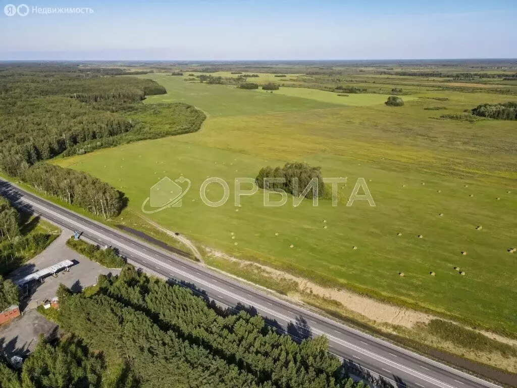 Участок в Тюменская область, Ярковский муниципальный округ, село ... - Фото 1