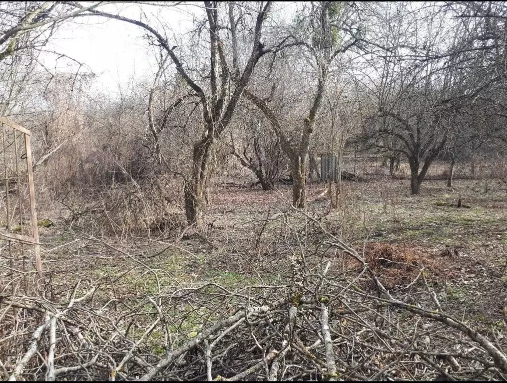 Участок в Кабардино-Балкария, Нальчик ул. Биттирова (10.0 сот.) - Фото 0