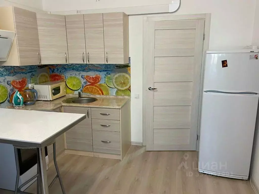 Студия Санкт-Петербург Парашютная ул., 42к2 (24.0 м) - Фото 1