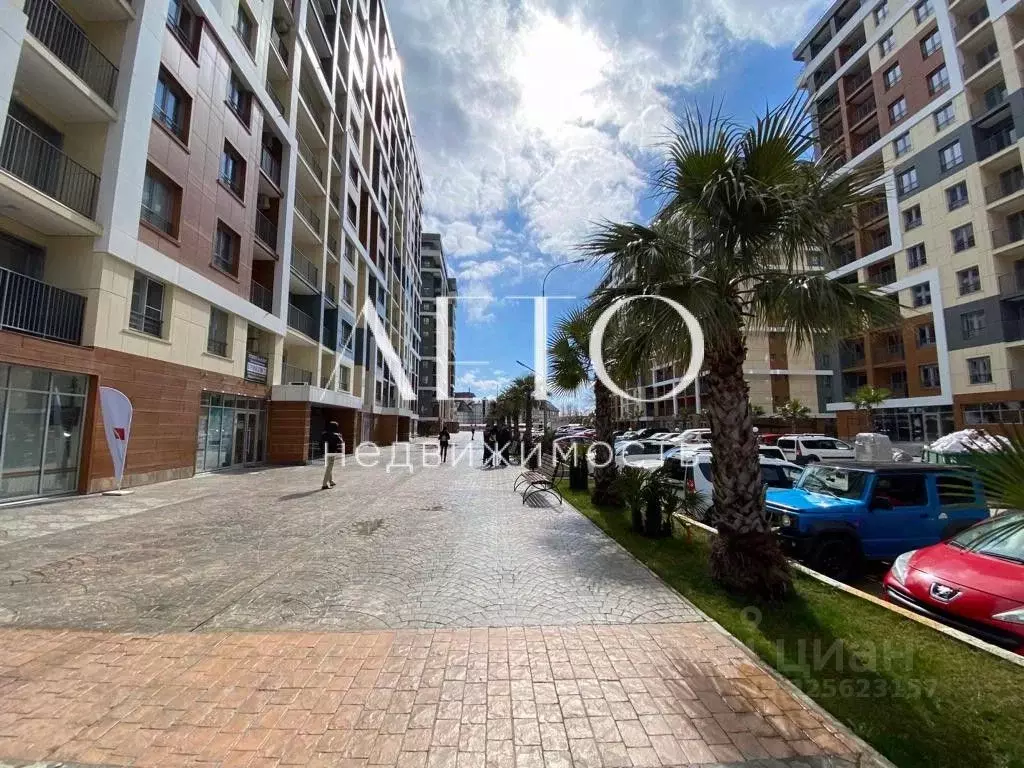 Студия Краснодарский край, Сочи городской округ, Дагомыс пгт ул. ... - Фото 2