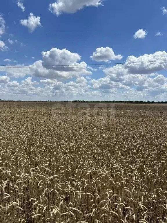 Участок в Ростовская область, Октябрьский район, Красюковское с/пос, ... - Фото 2