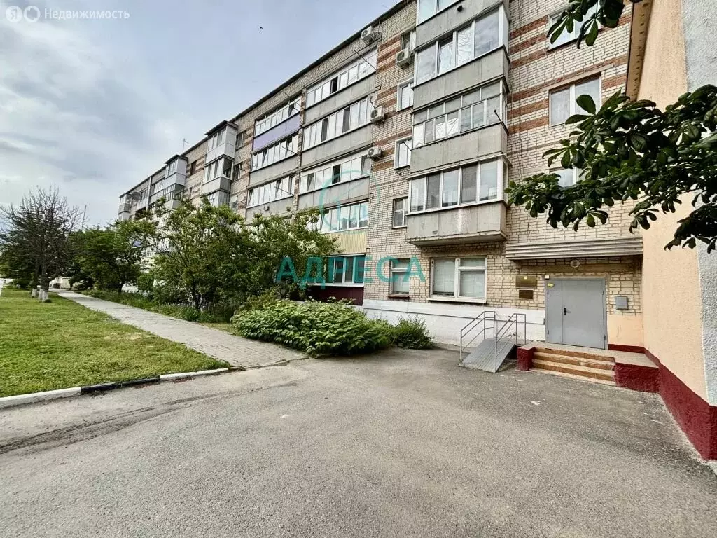 1-комнатная квартира: Новый Оскол, улица Ленина, 50 (31.7 м) - Фото 1