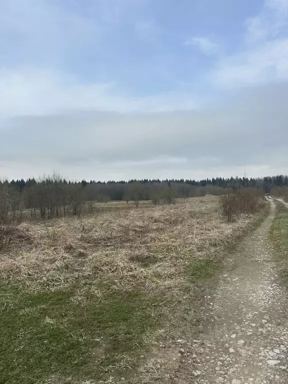 Участок в Ленинградская область, Ломоносовский район, Лопухинское ... - Фото 1
