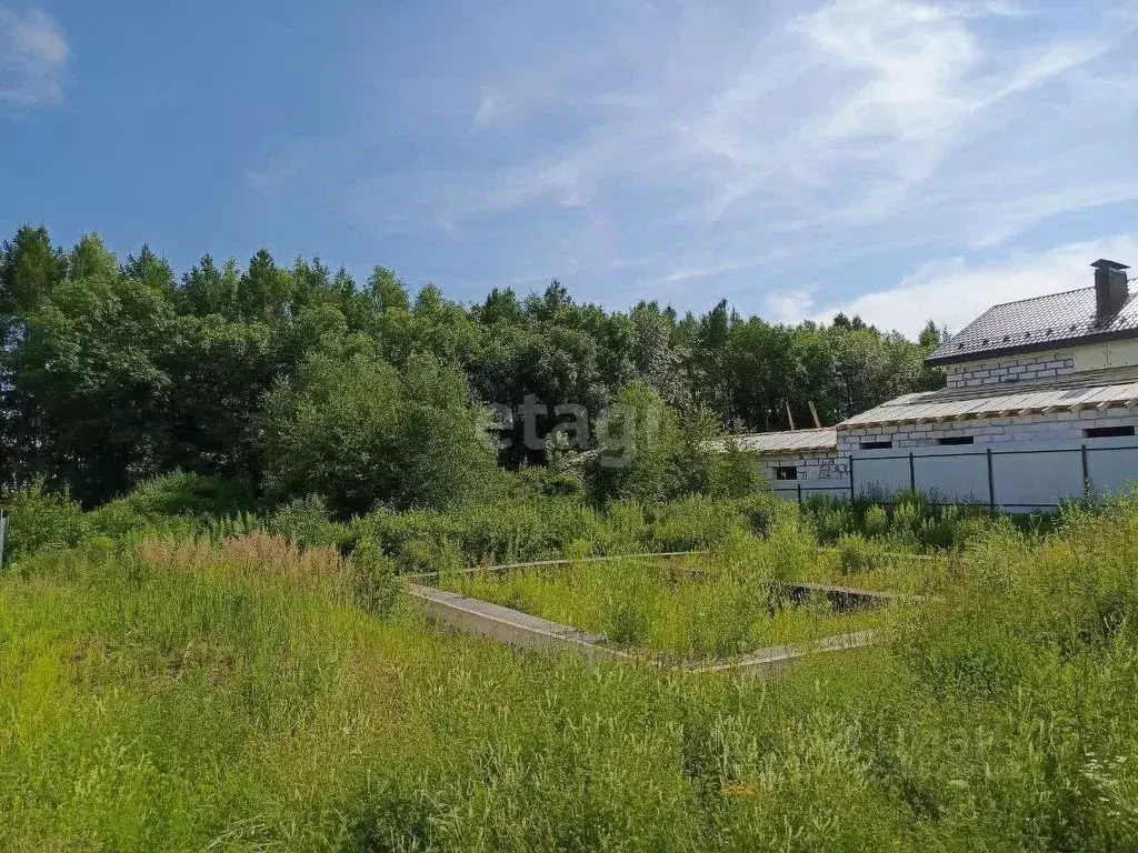 Участок в Нижегородская область, Богородский муниципальный округ, д. ... - Фото 0