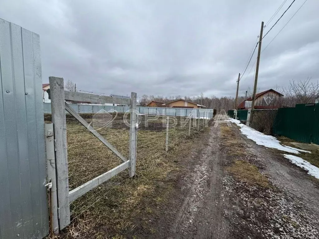 Участок в Тюменская область, Тюмень СОСН Янтарь тер., ул. Лесная (6.6 ... - Фото 1