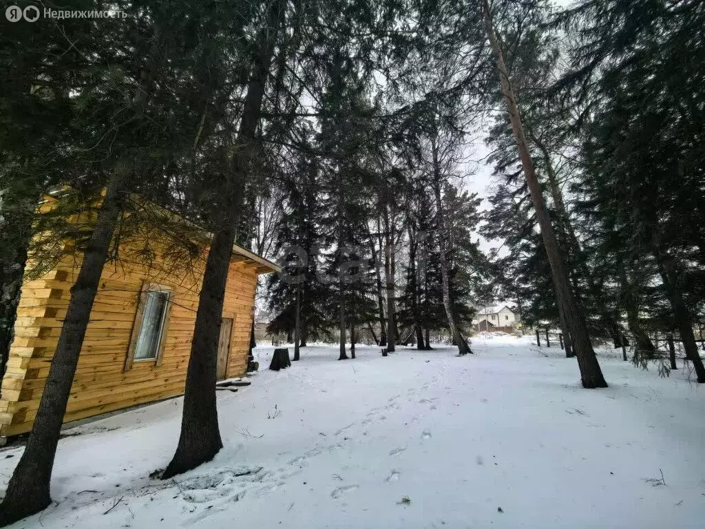 Участок в городской округ Красноярск, посёлок Элита (32.7 м) - Фото 1