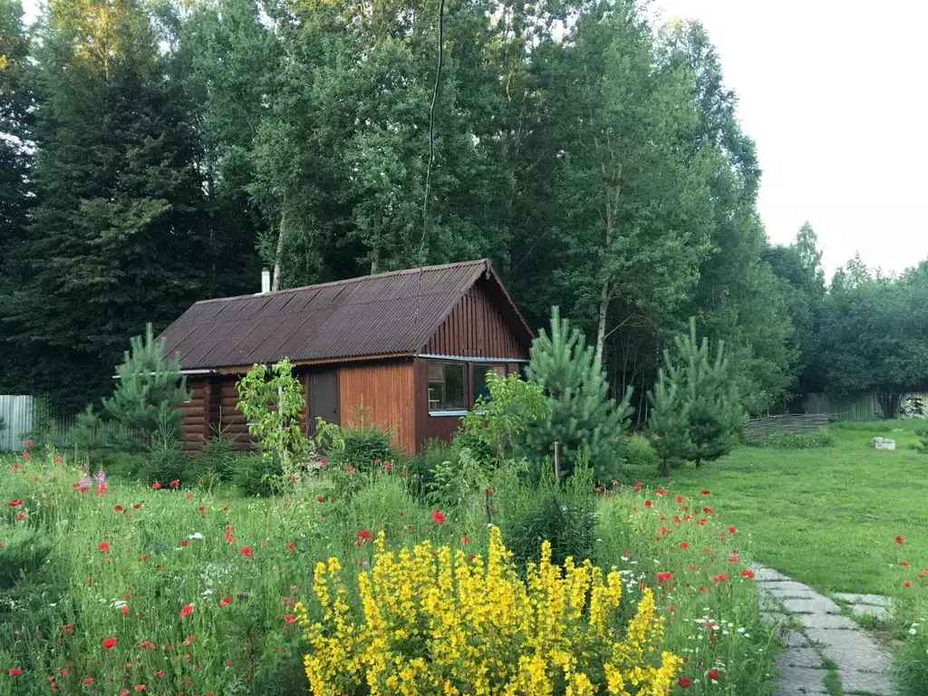 Дом в Владимирская область, Петушинский муниципальный округ, д. ... - Фото 2