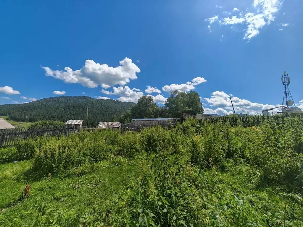 Участок в Алтай, Чемальский район, с. Бешпельтир  (10.75 сот.) - Фото 2