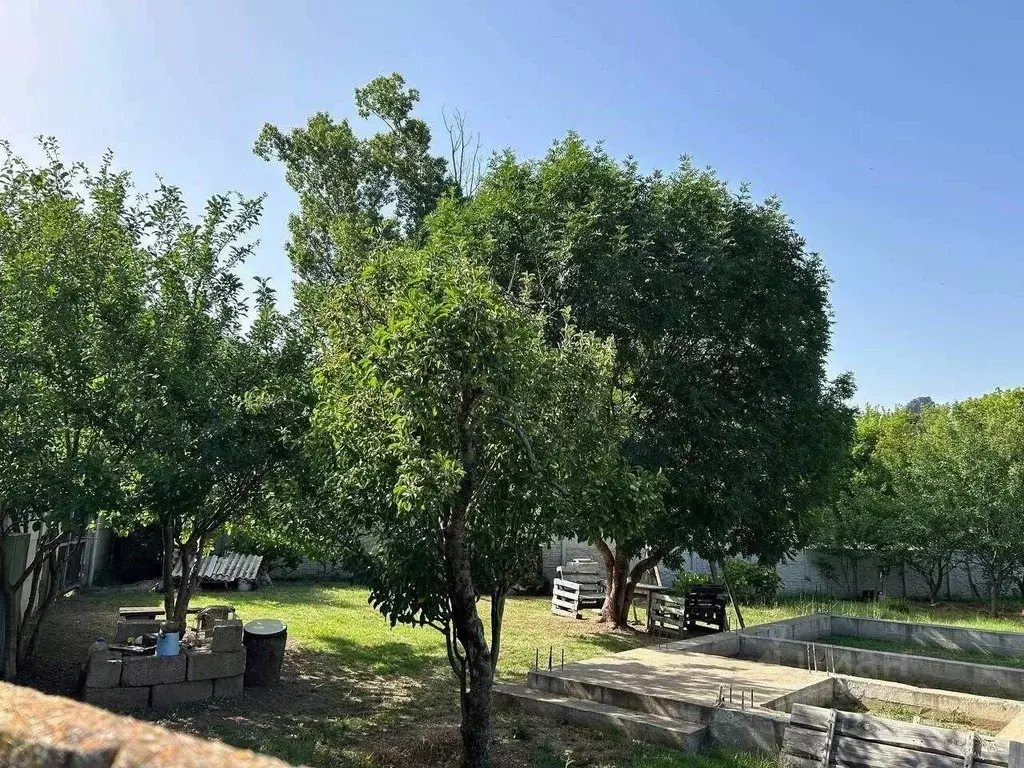 Участок в Крым, Феодосия муниципальный округ, с. Краснокаменка ул. ... - Фото 1