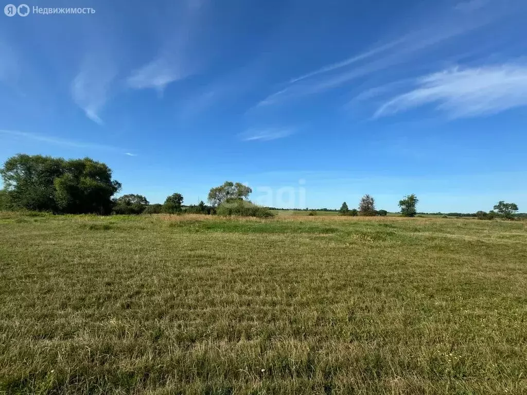 участок в калининградская область, озёрский муниципальный округ, . - Фото 0