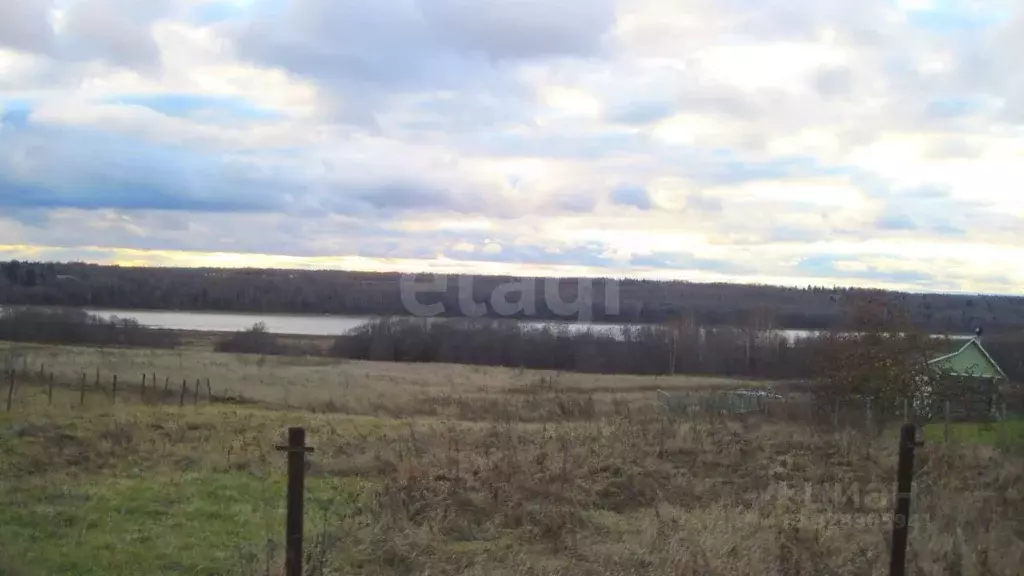 Участок в Ярославская область, Тутаевский муниципальный округ, д. ... - Фото 2