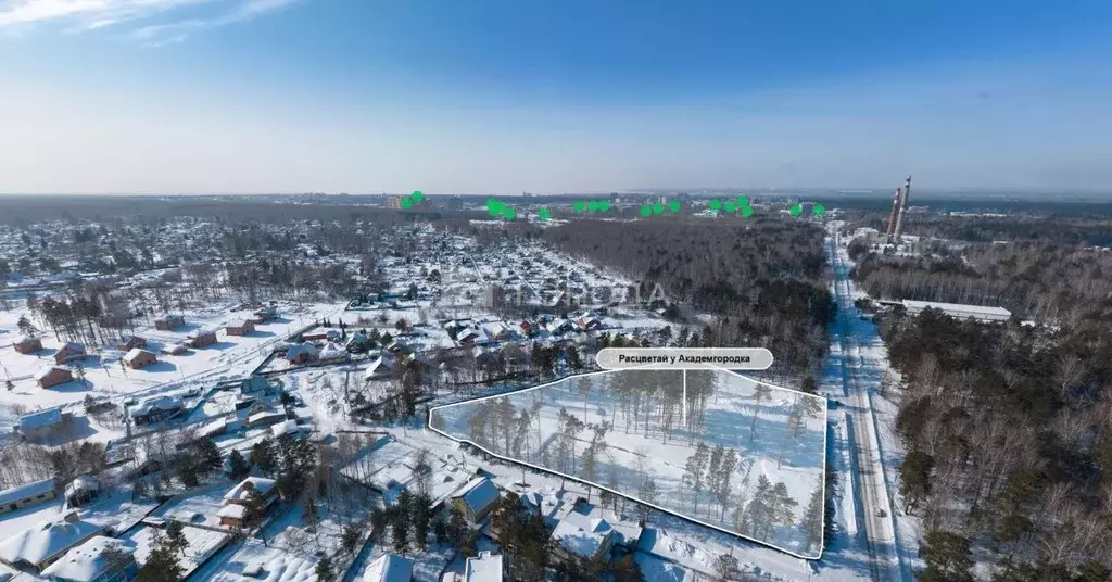 Офис в Новосибирская область, Новосибирский район, Барышевский ... - Фото 1