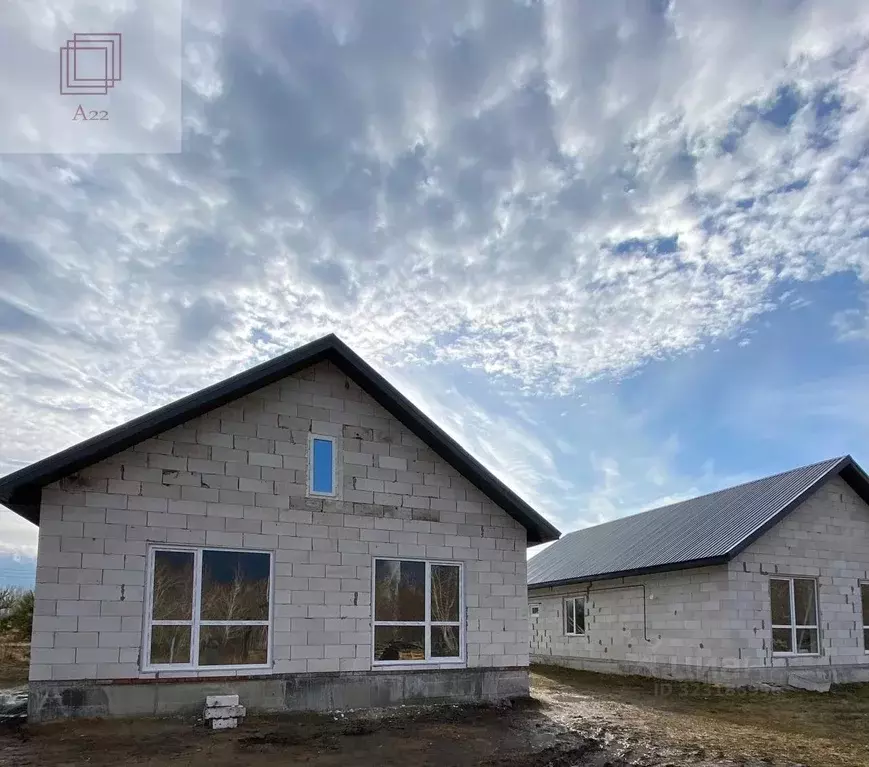 Дом в Алтайский край, Барнаул городской округ, пос. Бельмесево ул. ... - Фото 1