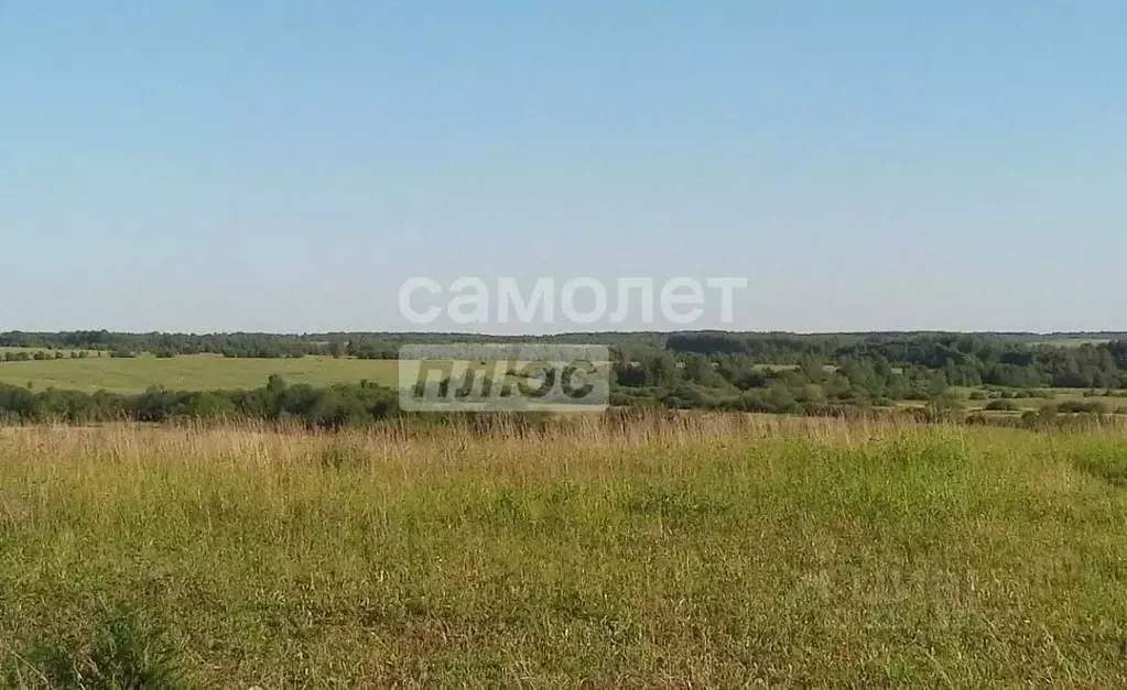 Участок в Ярославская область, Переславль-Залесский муниципальный ... - Фото 2