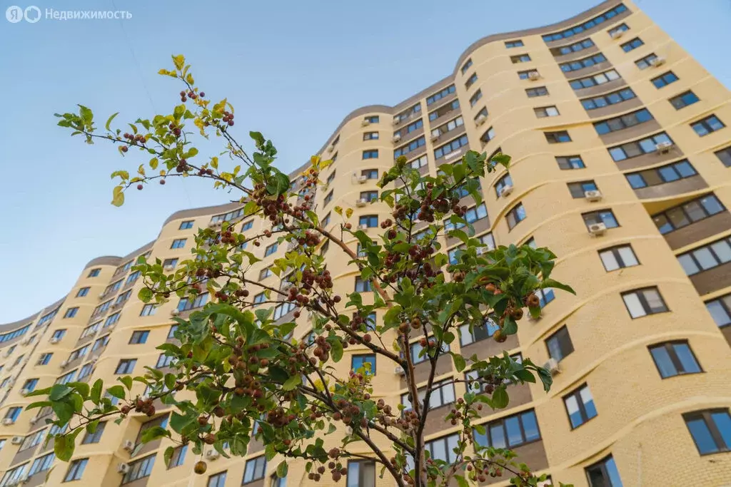 1-комнатная квартира: Краснодар, улица имени 40-летия Победы, 97 (34 ... - Фото 2