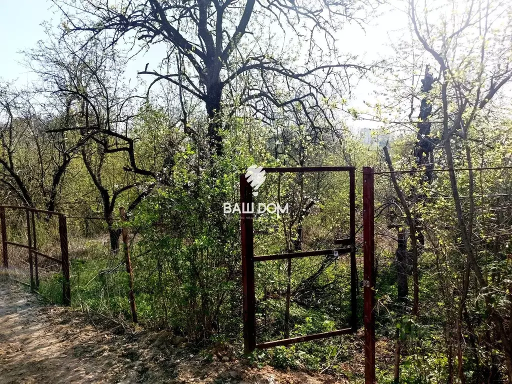 Участок в Брянская область, Брянск имени Фрунзе садовое общество,  ... - Фото 0