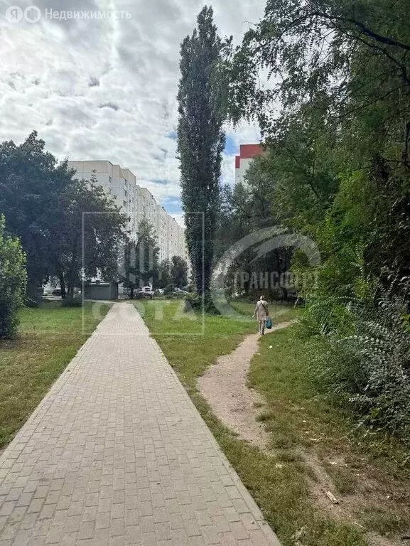 1-комнатная квартира: Воронеж, Ростовская улица, 56/1 (32 м) - Фото 0