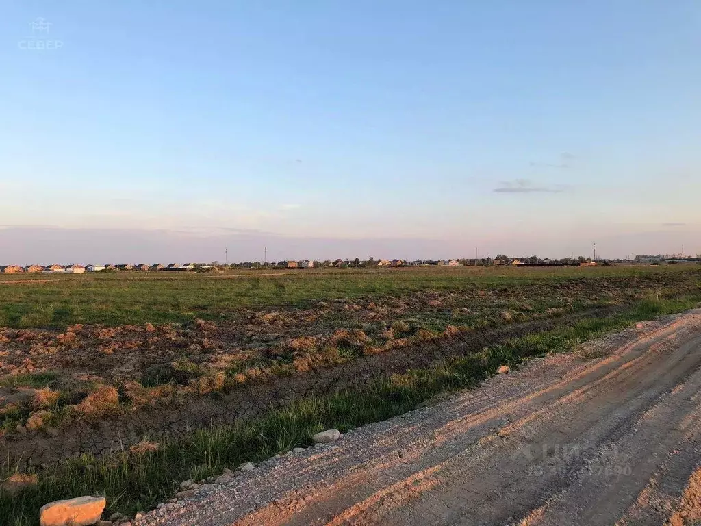 Участок в Новгородская область, Новгородский район, Савинское с/пос, ... - Фото 0