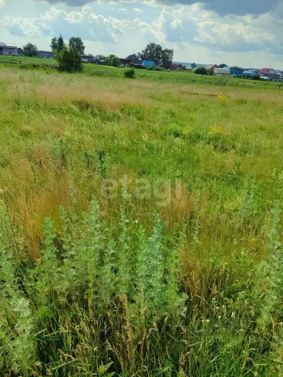 Участок в Башкортостан, Аургазинский район, с. Чуваш-Карамалы ул. ... - Фото 1