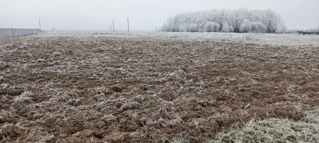 Участок в Марий Эл, Медведевский район, Азяковское с/пос, д. Шеклянур ... - Фото 1