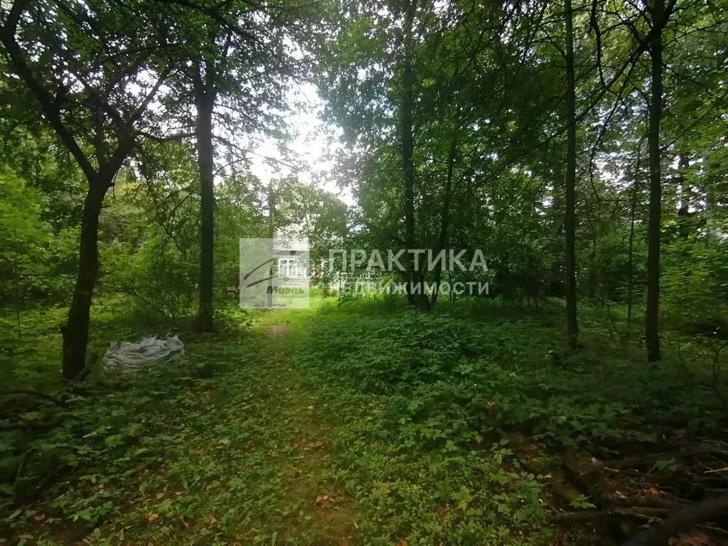 Продается участок в с. Дубки - Фото 1