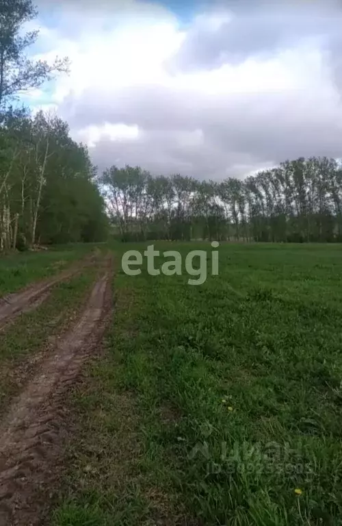 Участок в Нижегородская область, Кстовский муниципальный округ, д. ... - Фото 0