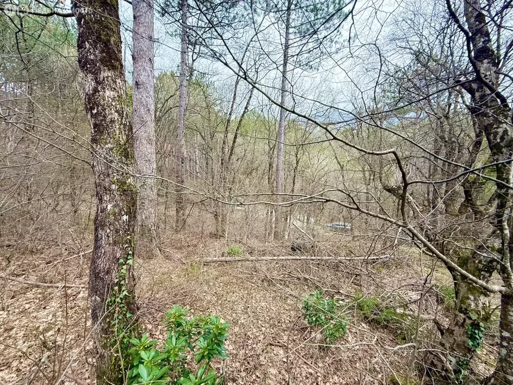 Участок в Республика Крым, муниципальный округ Ялта, посёлок ... - Фото 2