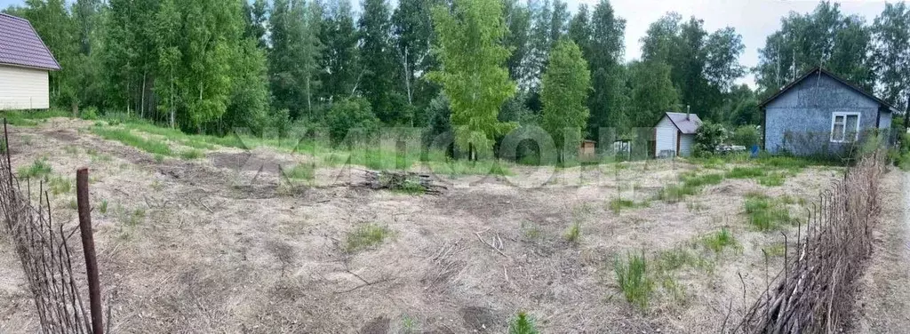 Участок в Новосибирская область, Новосибирский район, Мичуринский ... - Фото 1