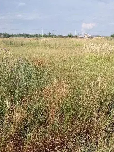 Участок 10 сот. (ИЖС) - Фото 1
